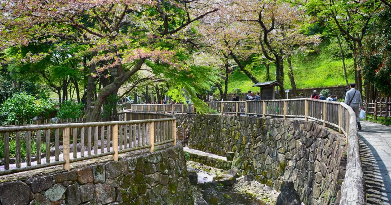 🌳 기타 구립 오토나시 친수공원(키타쿠리츠 오토나시 신스이코우엔) 이미지 7